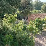 Casa Di Ramatta - Chez L'apicultrice Nocleg ze śniadaniem Sotta