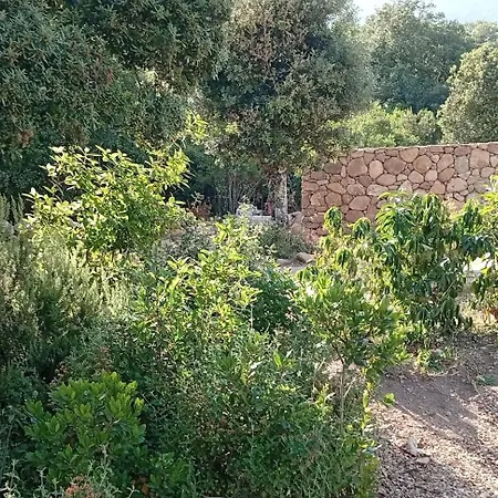 Casa Di Ramatta - Chez L'apicultrice Frühstückspension Sotta
