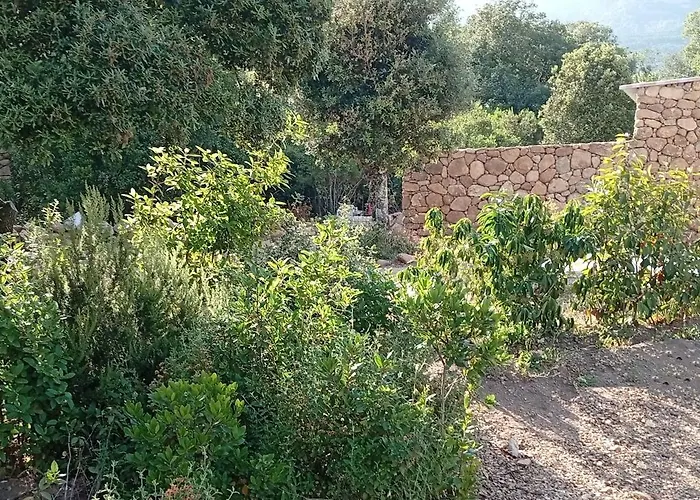 Casa Di Ramatta - Chez L'apicultrice Bed & Breakfast Sotta