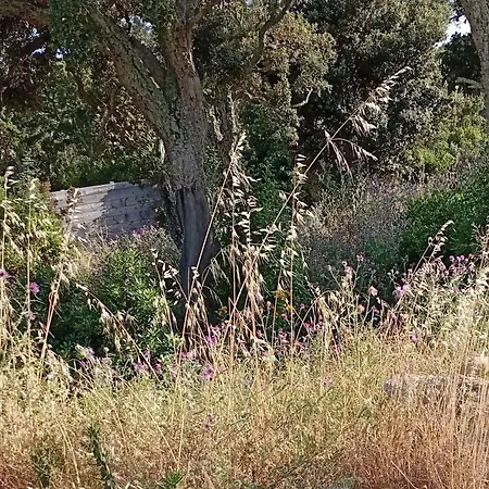 Nocleg ze śniadaniem Casa Di Ramatta - Chez L'apicultrice Sotta