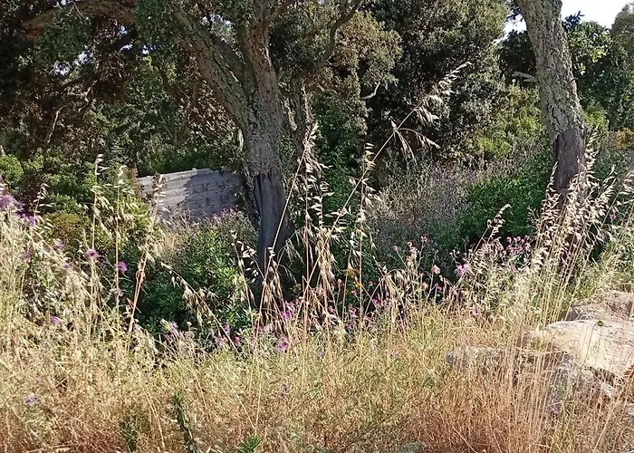 לינה וארוחת בוקר Casa Di Ramatta - Chez L'apicultrice סוטה