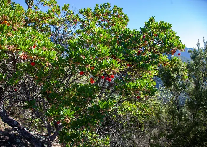Casa Di Ramatta - Chez L'apicultrice